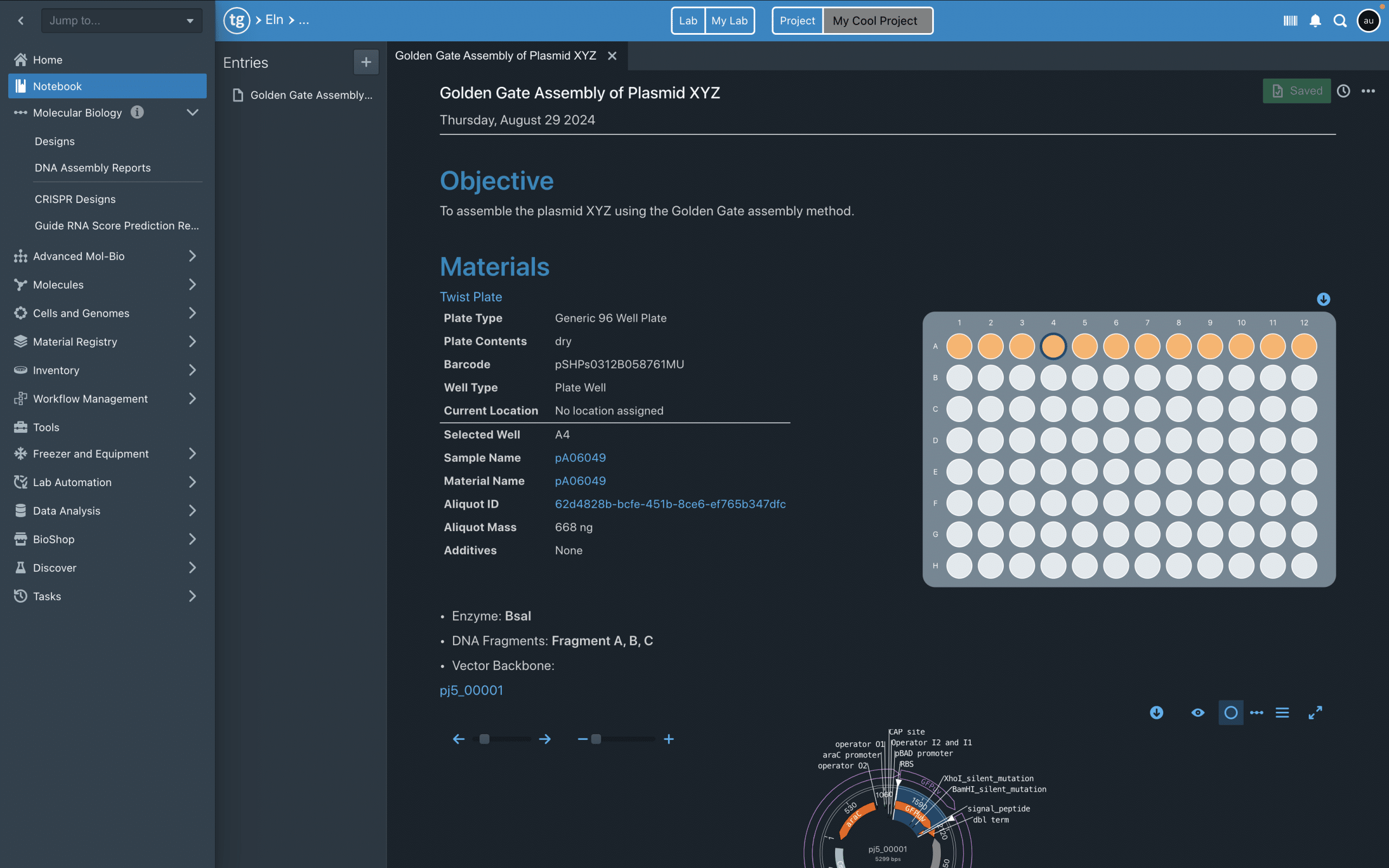 Screenshot 2024-08-29 at 7.12.12 PM